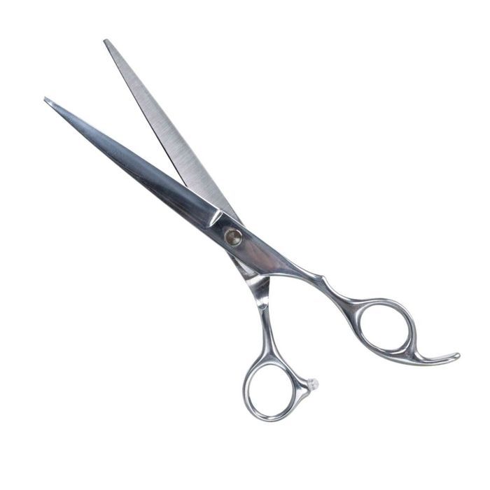 Trixie Profesjonalne Nożyczki Do Sierści Stal Nierdzewna 20Cm