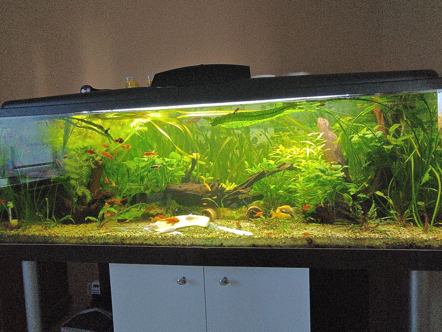 Akwarium 375l komplet