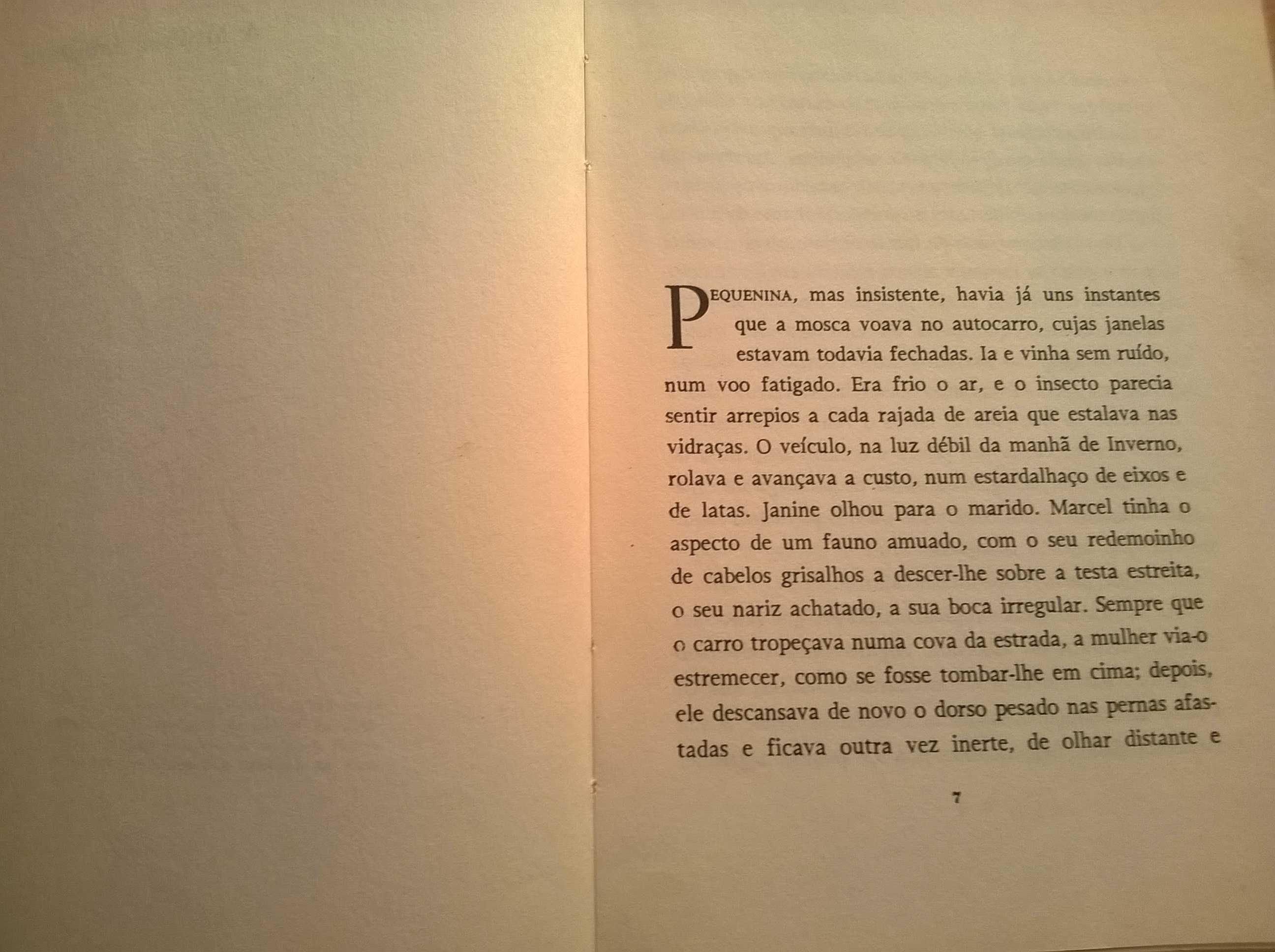 O Exílio e o Reino - Albert Camus