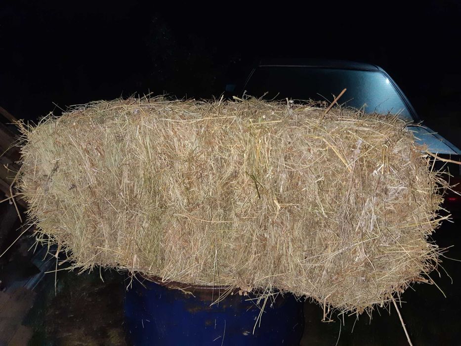 Сено, солома луговое разнотравье, пшеница 2025 года