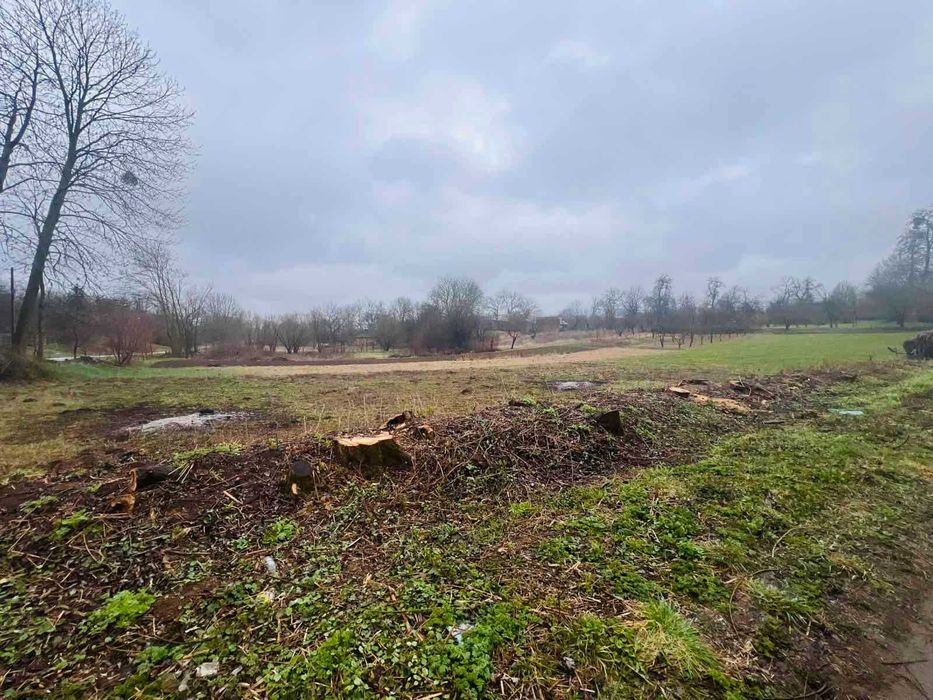 Продається земельна ділянка в с. Парпурівці 2187