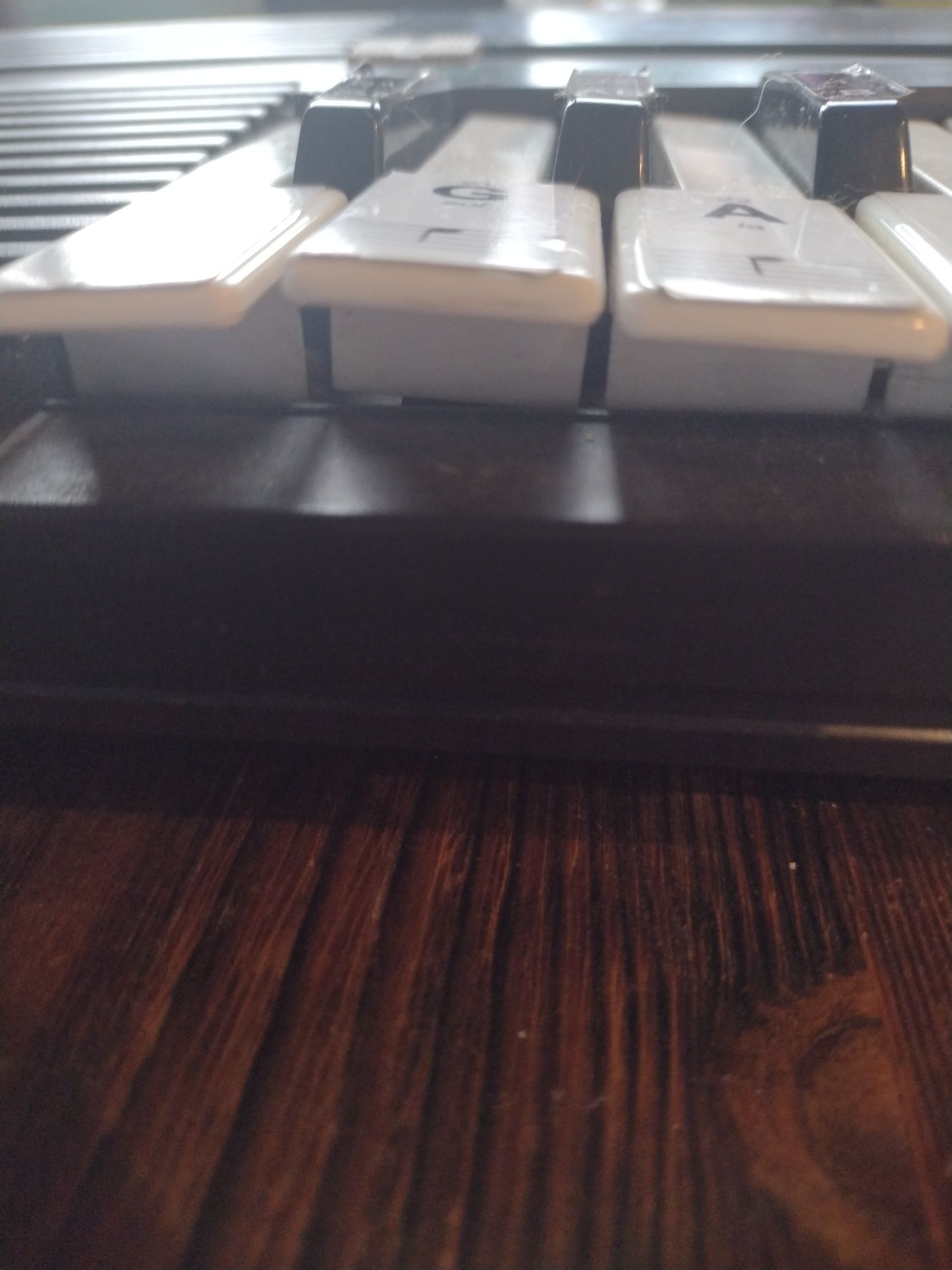 Vintage PRL Keyboard Casio SA-20