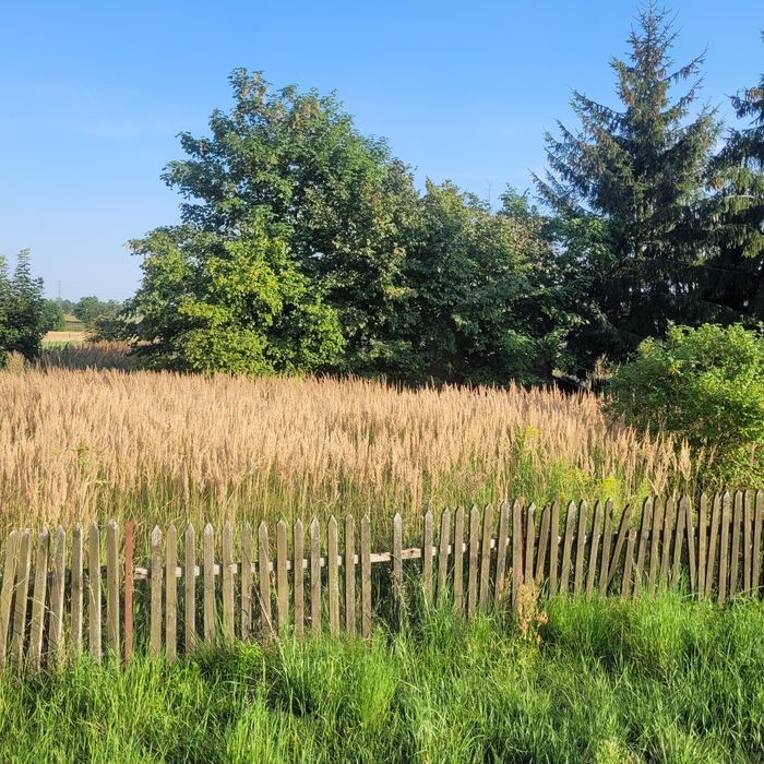 Dom wolnostojacy ok 100m2 działka 22ary Motylewo
