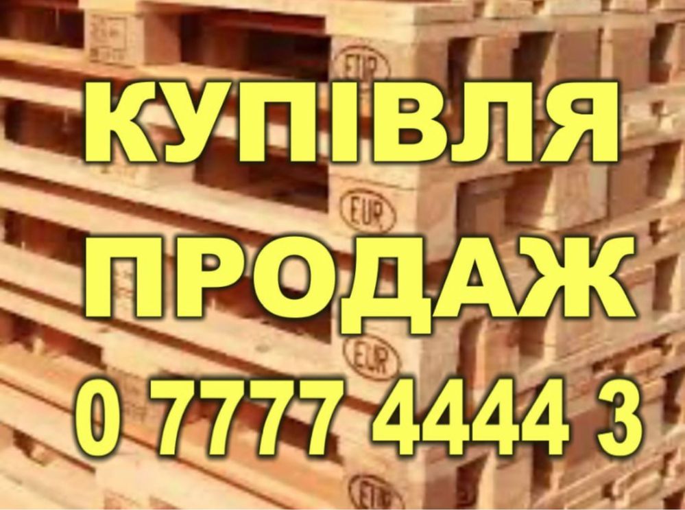 Поддон 800/1200 первый сорт,