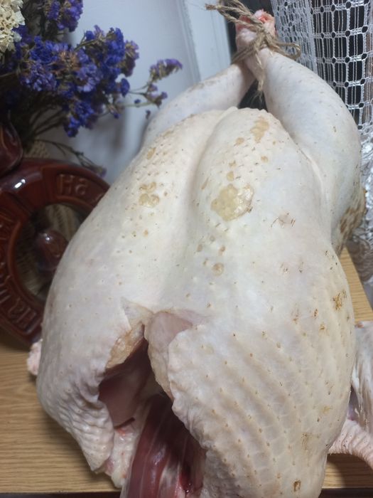 М'ясо індика, Тушка індика/індички