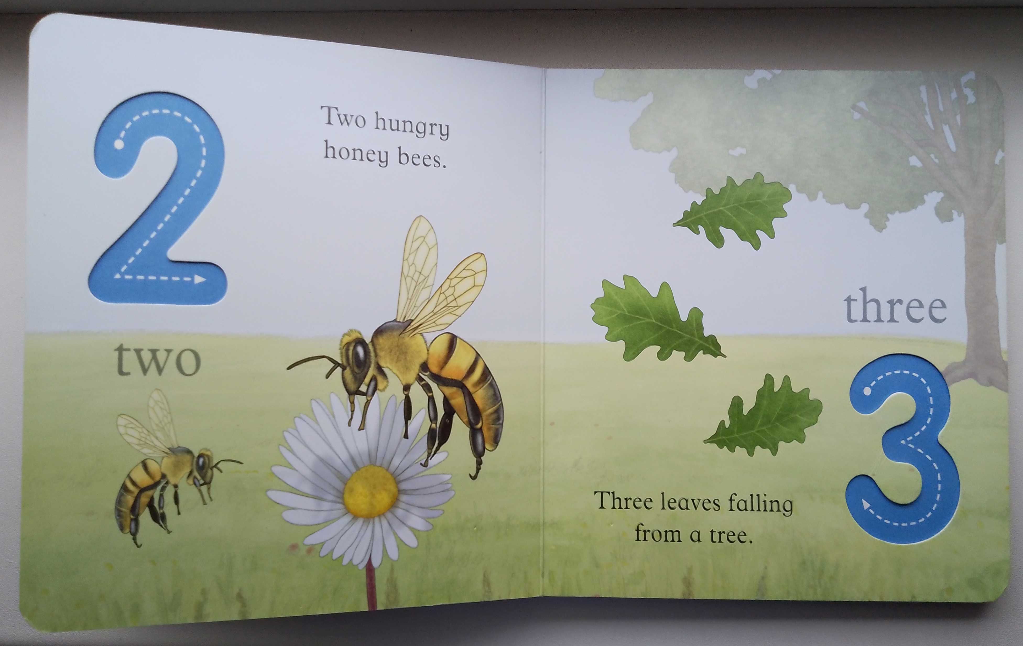 детская развивающая книжка на английском. для самых маленьких