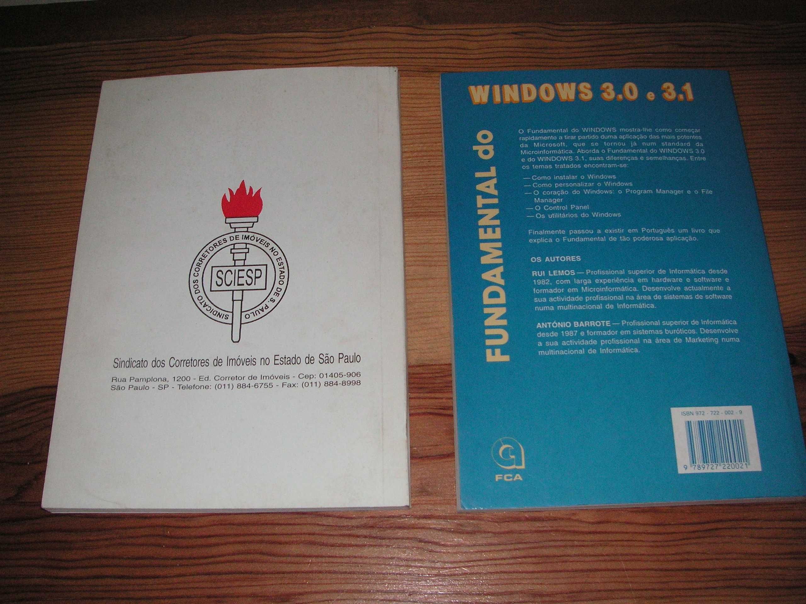Técnico em Transações Imobiliárias e Fundamental Windows 3.0 e 3.1