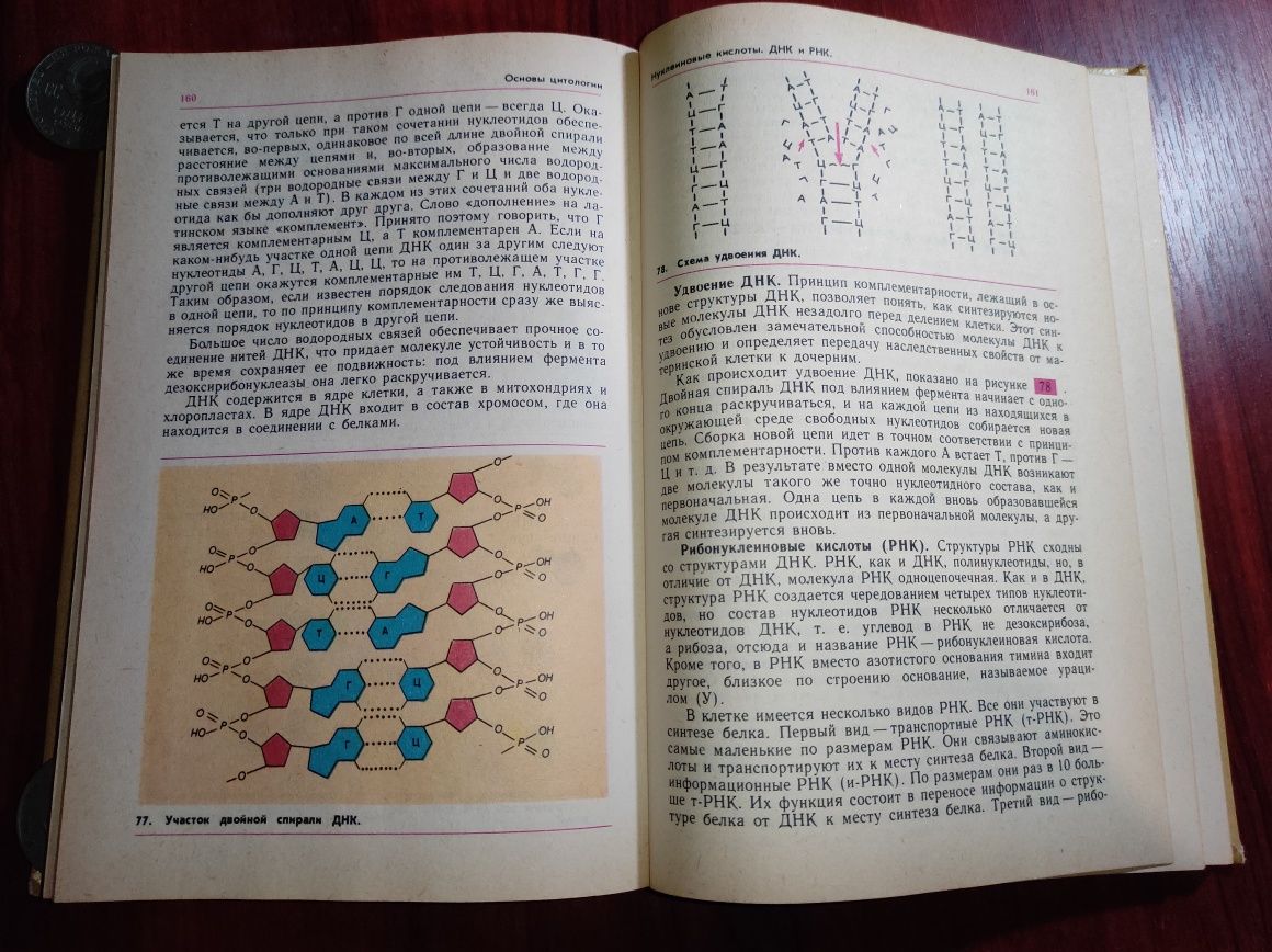 Общая биология 10-11 Ю.И. Полянский 1988