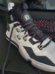 Tarmark SE900 x NBA