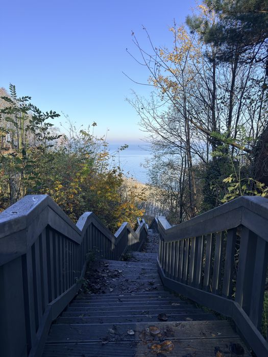 Dzialka leśna nad morzem Rozewie