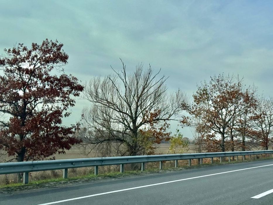 Земельна ділянка.Фасад ! 8га! с.Микуличі