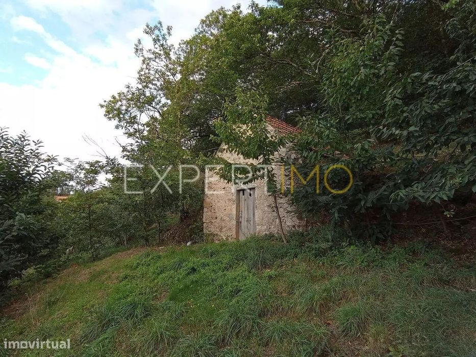 Terreno rústico com casa ade arrumos à venda em São Romão em plena...