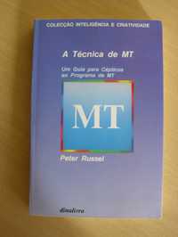 A Técnica de MT (Meditação Transcendental) de Peter Russel