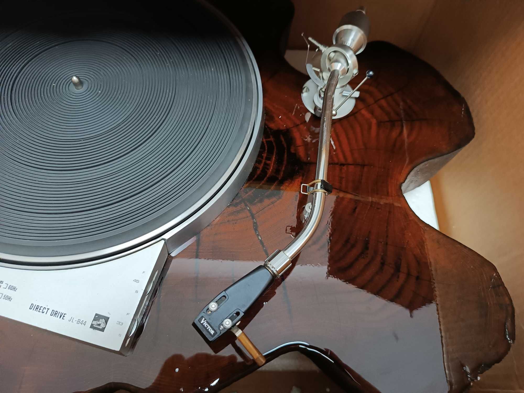 Gramofon Victor JL-B44 w pniu drzewa -Studio ras77.pl