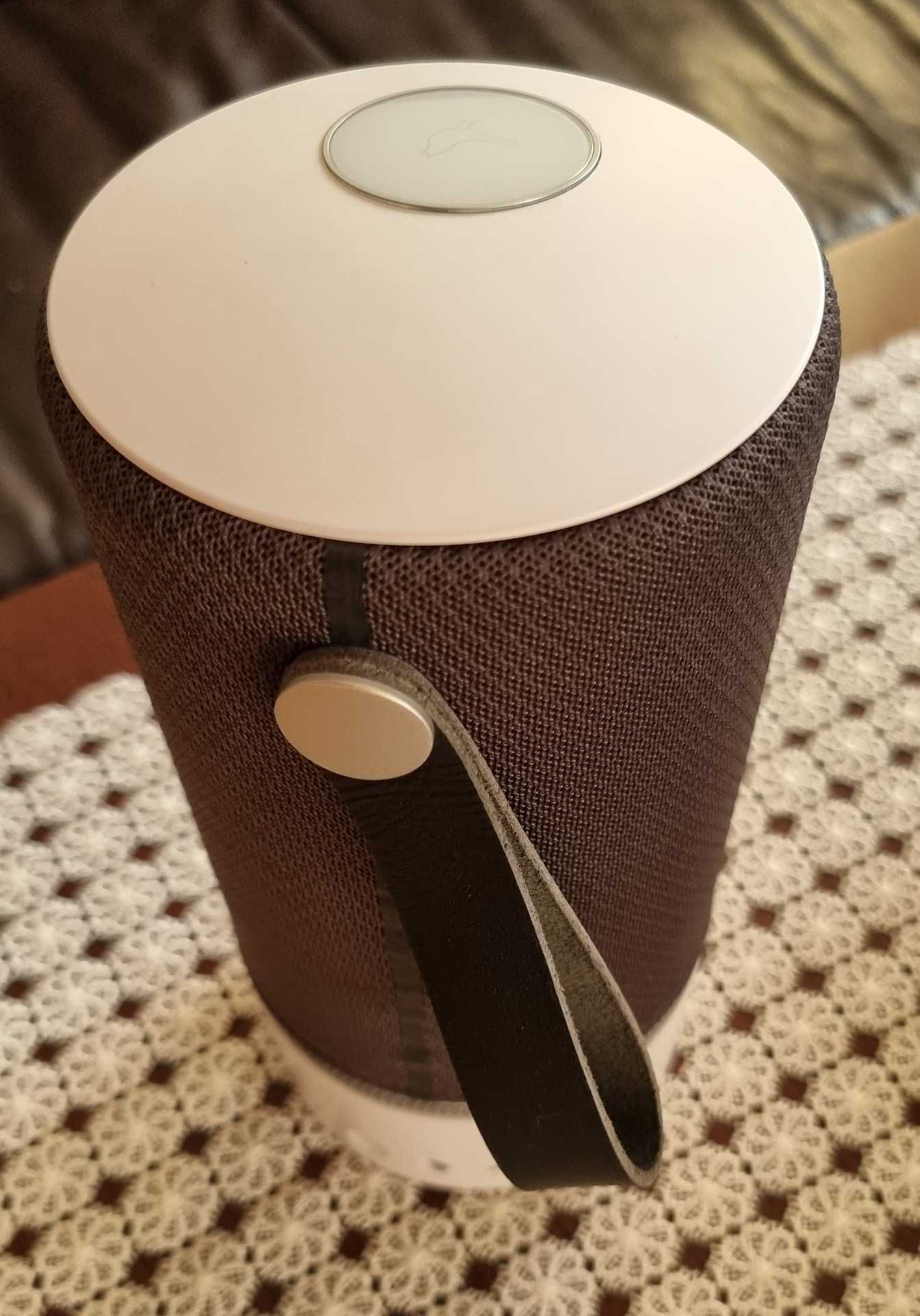 Przenośny głośnik bluetooth Libratone Zipp