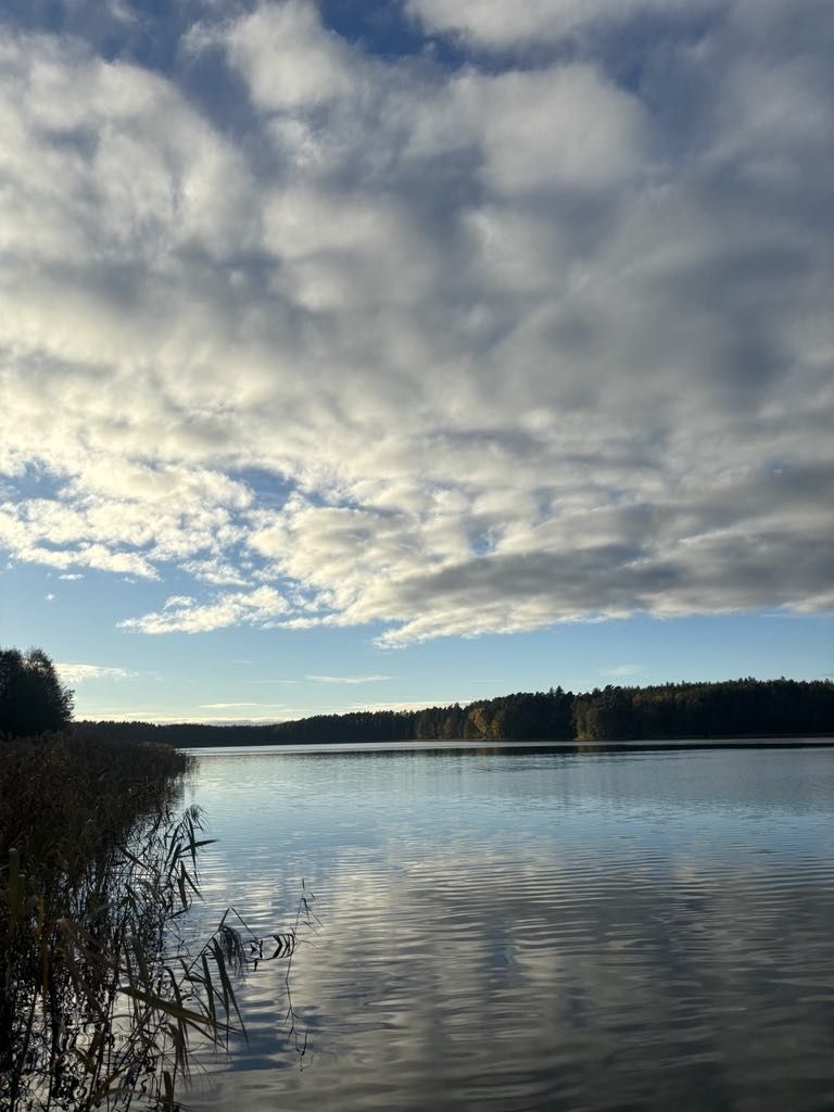 Słoneczne pokoje do wynajęcia