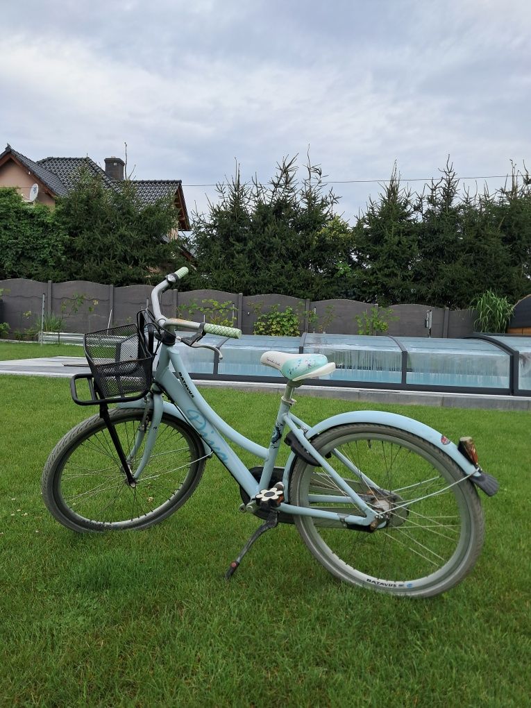 BATAVUS Diva 24"
