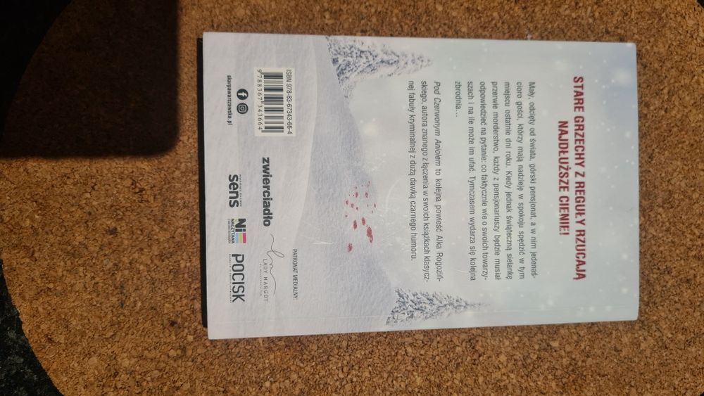Pod Czerwonym Aniołem Alek Rogoziński