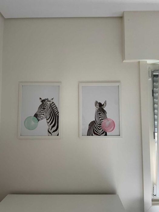 Decoração - Quadros Zebra Bubble Gum