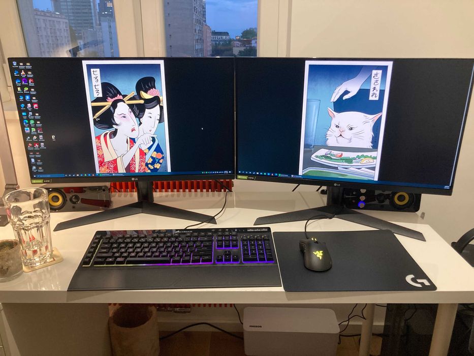 2x LG 27” UltraGear Nano IPS 1ms 144Hz 27GL850-b gaming monitors