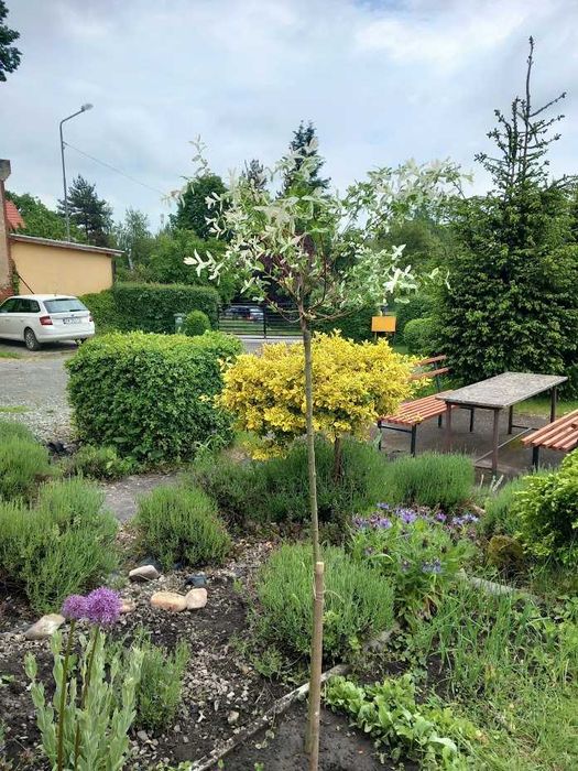 Polanica Zdrój Hostel Julka