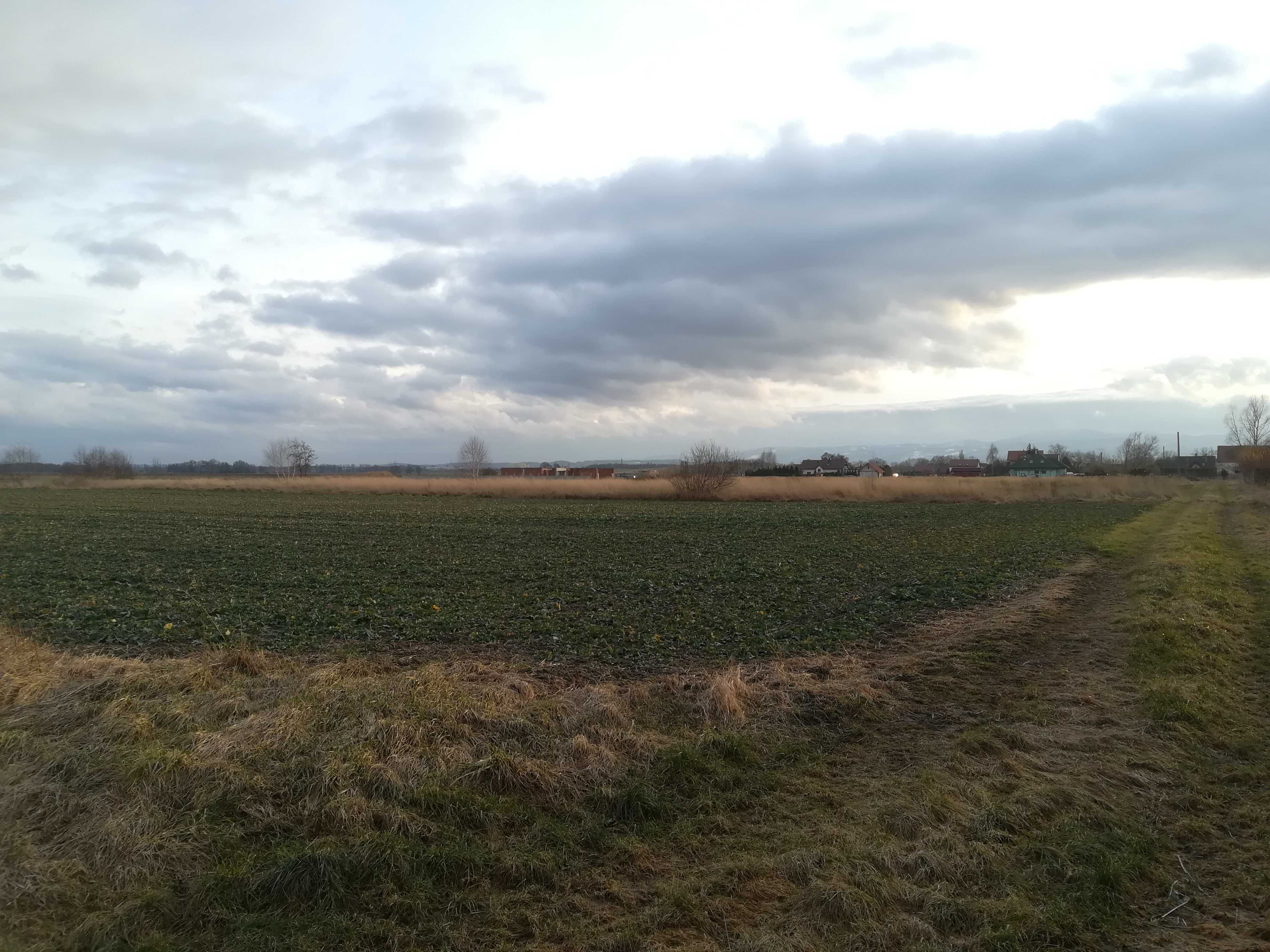 Działka zagrodowa we Włókach z Pięknym widokiem za niecałe 38zł m2. !!