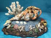 ozdoba akwariowa - krab - koralowiec - muszle - naturalna