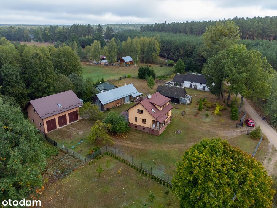 Duża działka, do zamieszkania, sauna, przy lesie