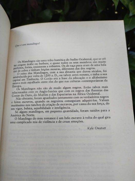 Mandingo - Ventos de liberdade (Kyle Onstott)