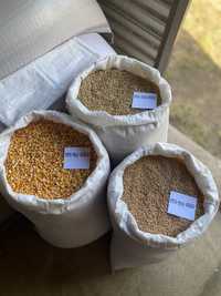 Урожай 2023 В Днепре Пшениця Ячмінь Кукуруза в мешках 50кг