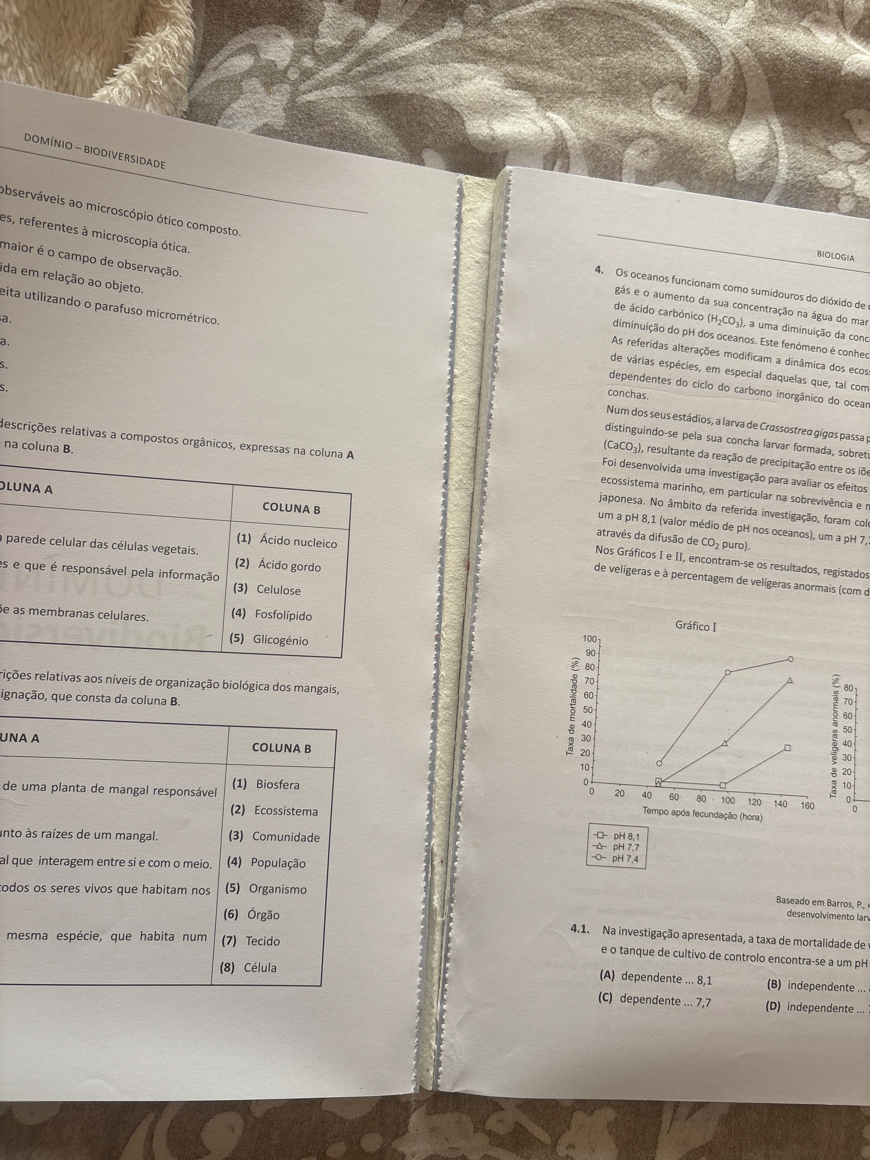 Manual de exame IAVE 22-23 BG