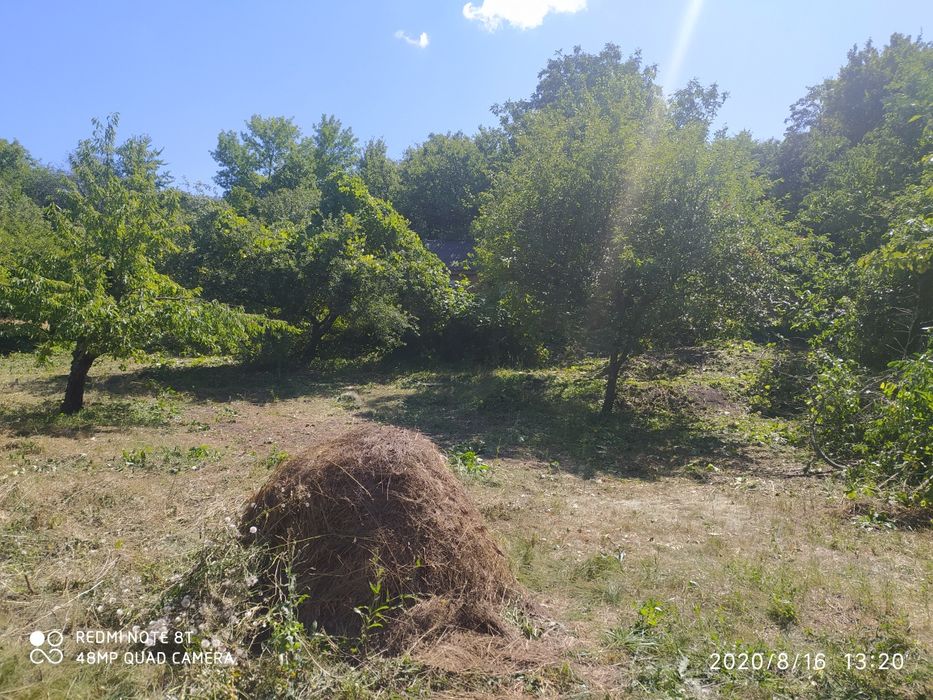 Будинок з земельною ділянкою.