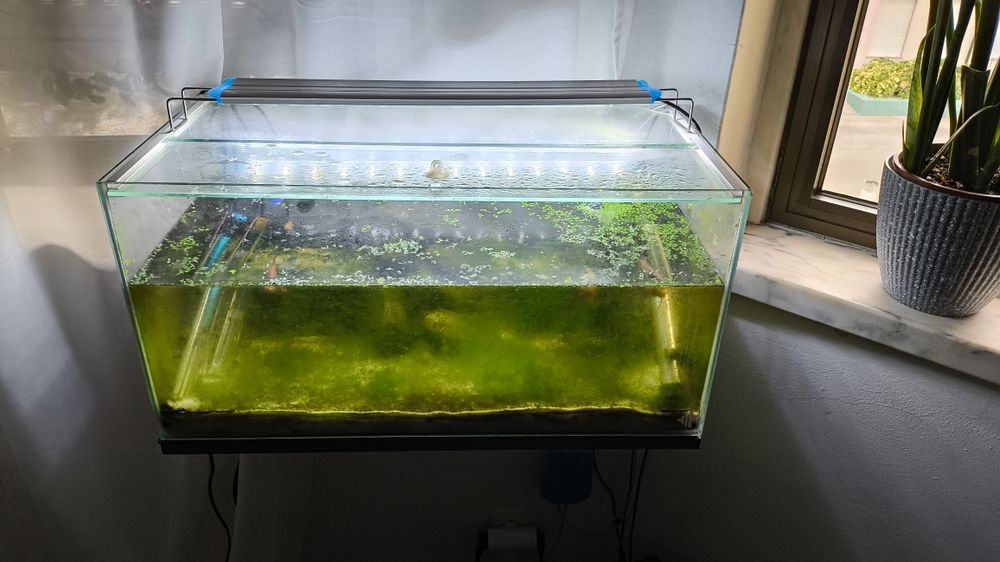 Aquários e acessórios