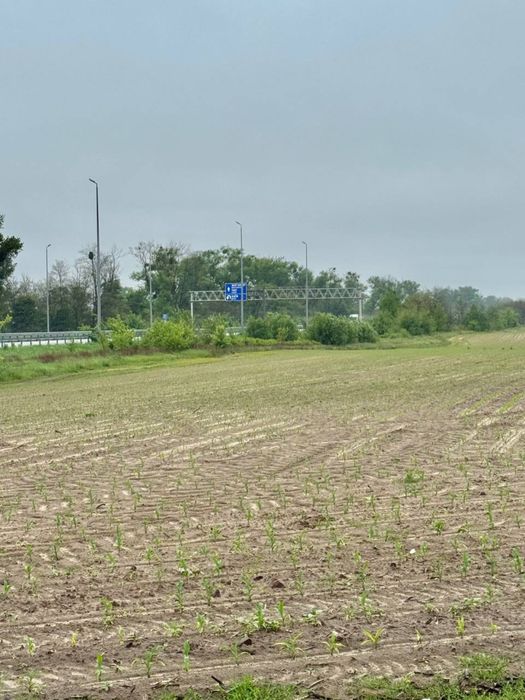 Земельна ділянка 20,17 га! с.Небелиця