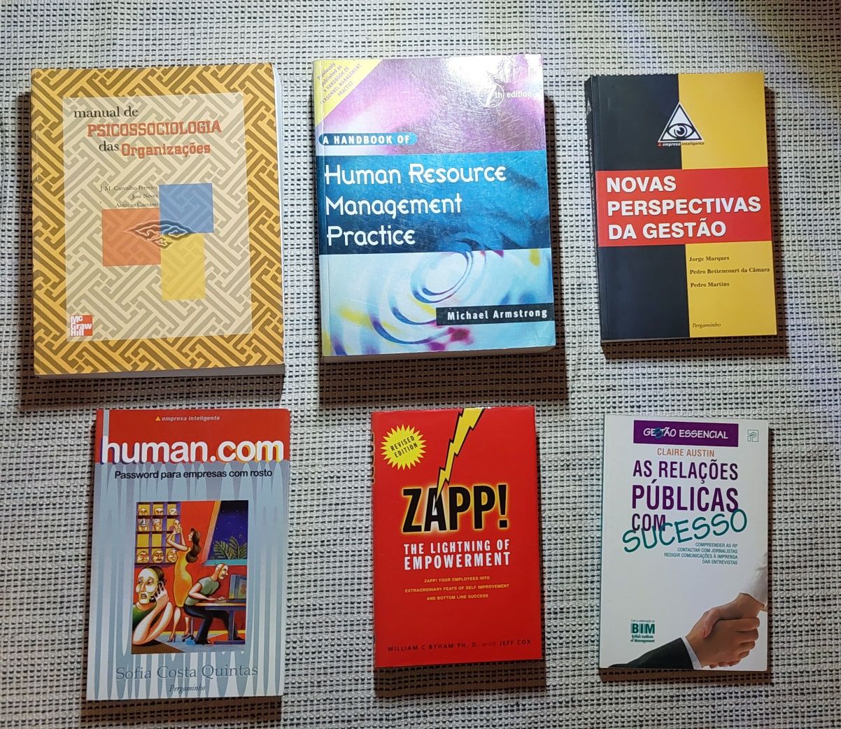 Livros de gestão, recursos humanos e psicologia