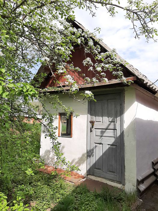 Будинок в с.Михайлівка, Диканьського  р-ну,Полтавської області