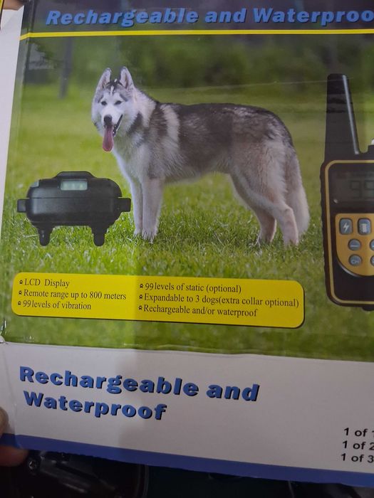 Elektroniczna obroża do treningu psa