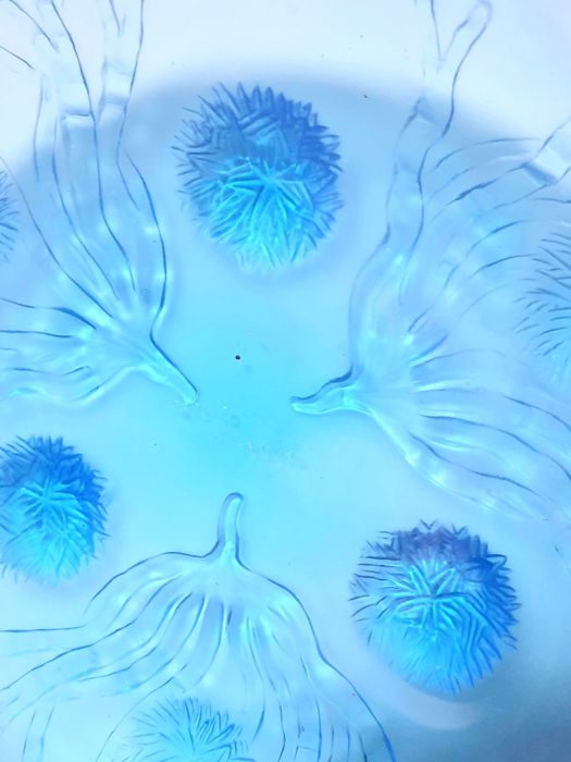 rara antiga taça em vidro turquesa francesa -ouriços do mar - SABINO