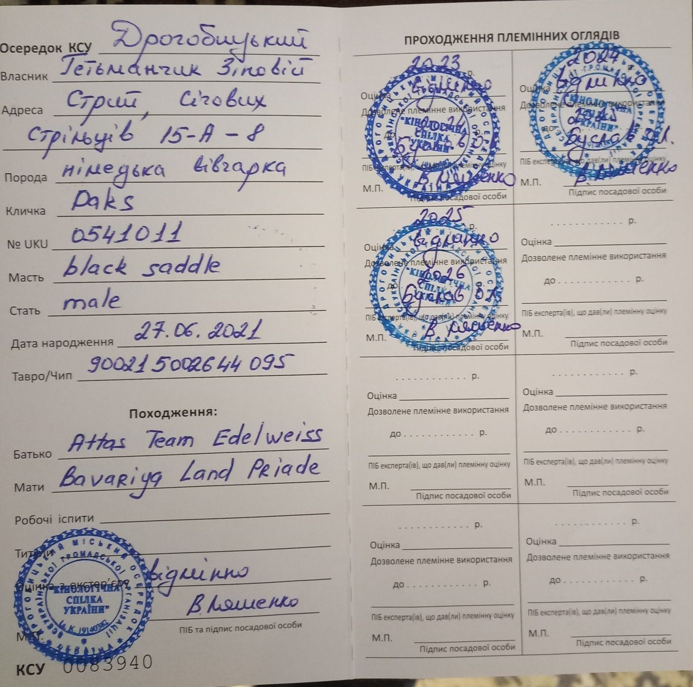 Кобель 3,5роки для племрозведення( в'язка]
