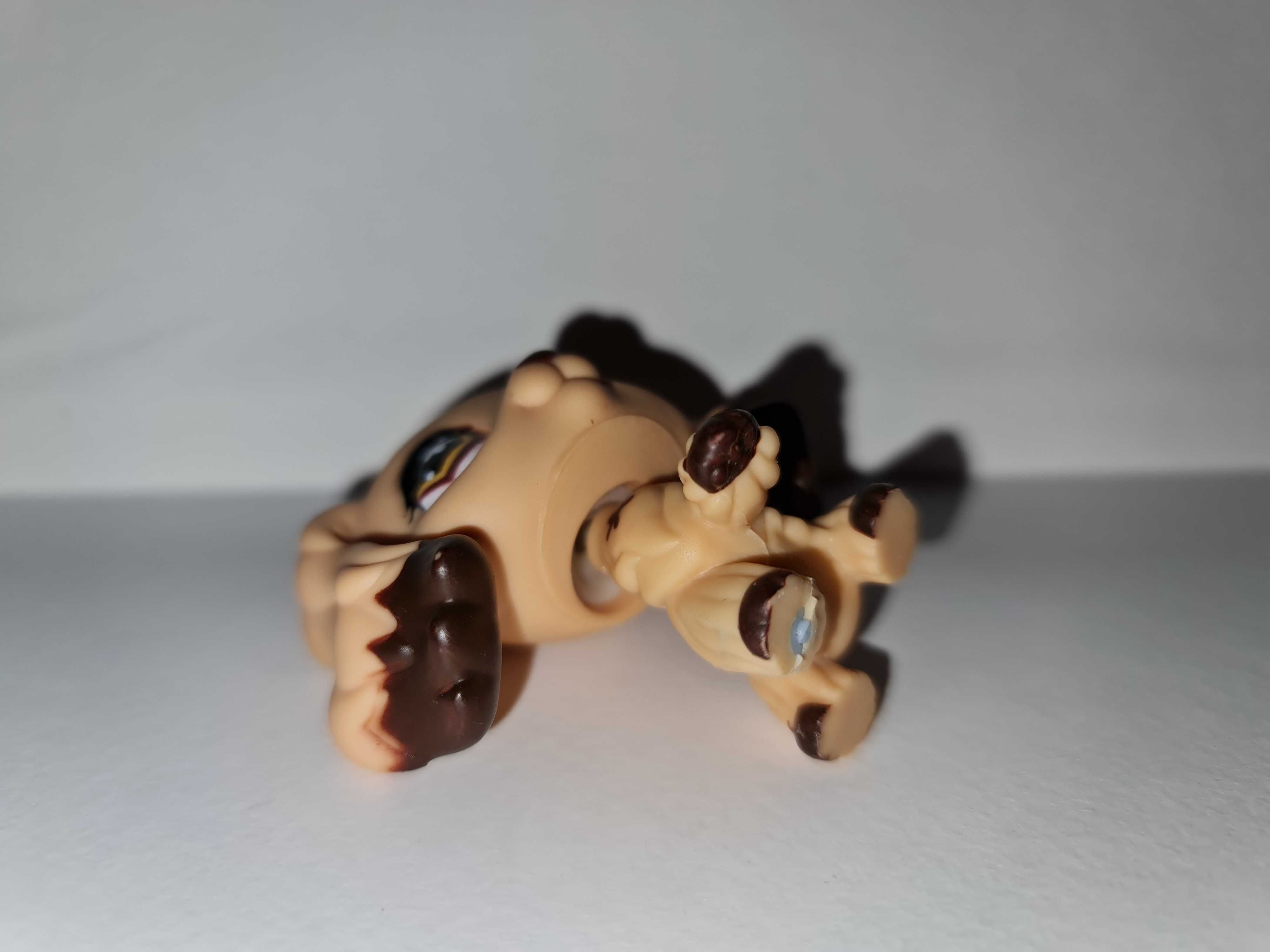 LPS Littlest Pet Shop pies piesek spaniel #575 oryginalny