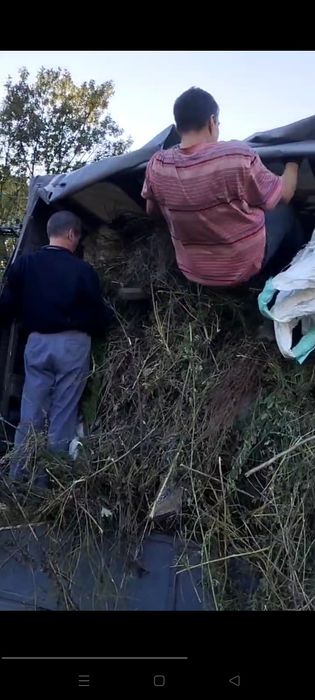 Вивезення буд./поб. сміття, гілок, трави, листя, хламу, старих меблів