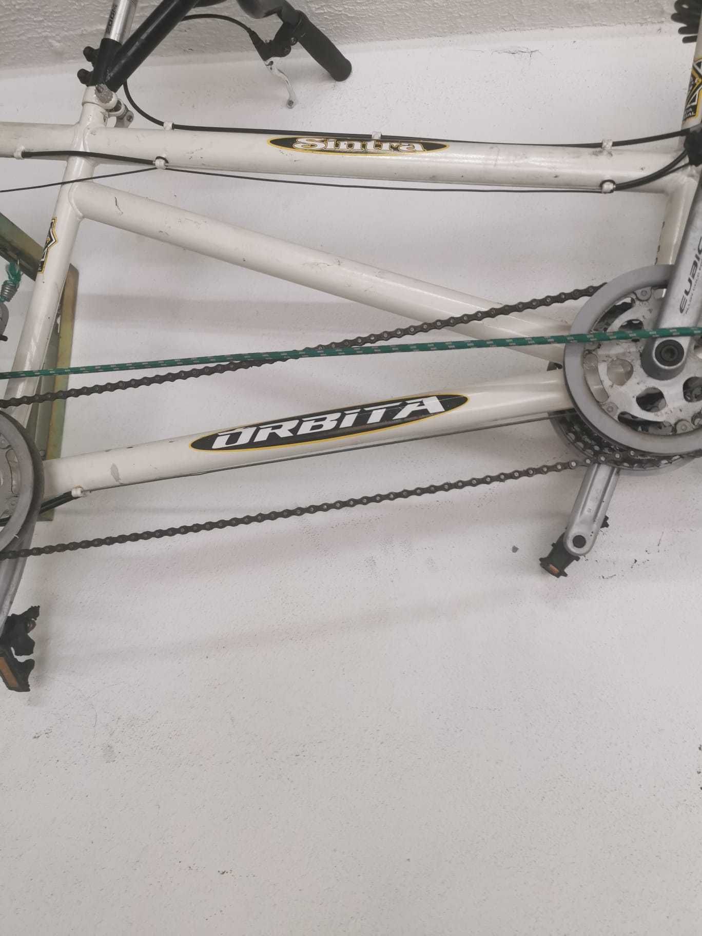 Bicicleta dupla Orbita Sintra