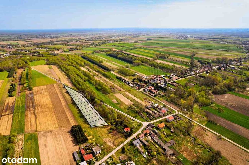 Działki z kameralnym zadrzewieniem