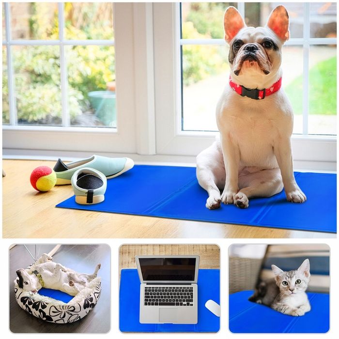 Mata Chłodząca Dla Psa Kota Legowisko Żelowa Xxl