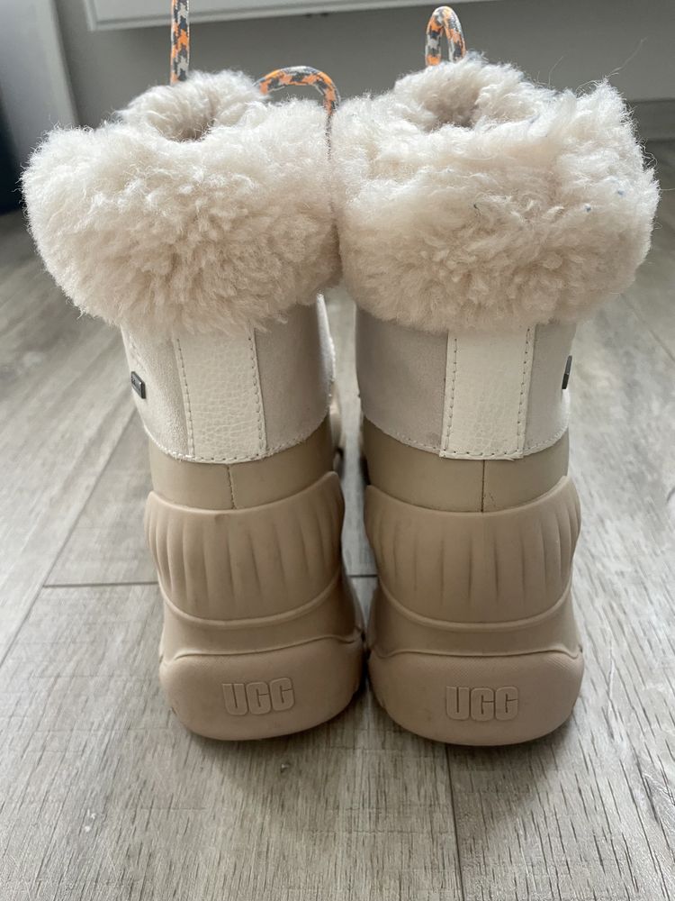 Зимові черевики Ugg (Adiroam Hiker Boot)