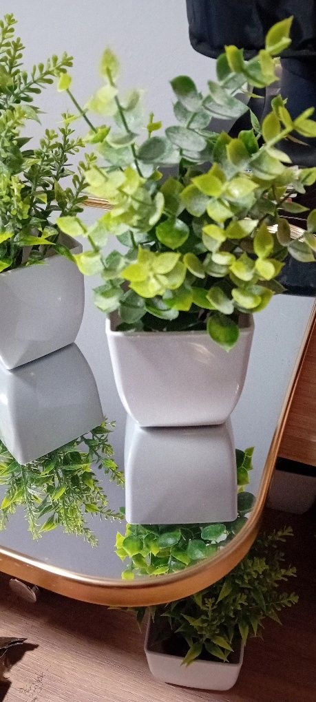 Vasos para decoração