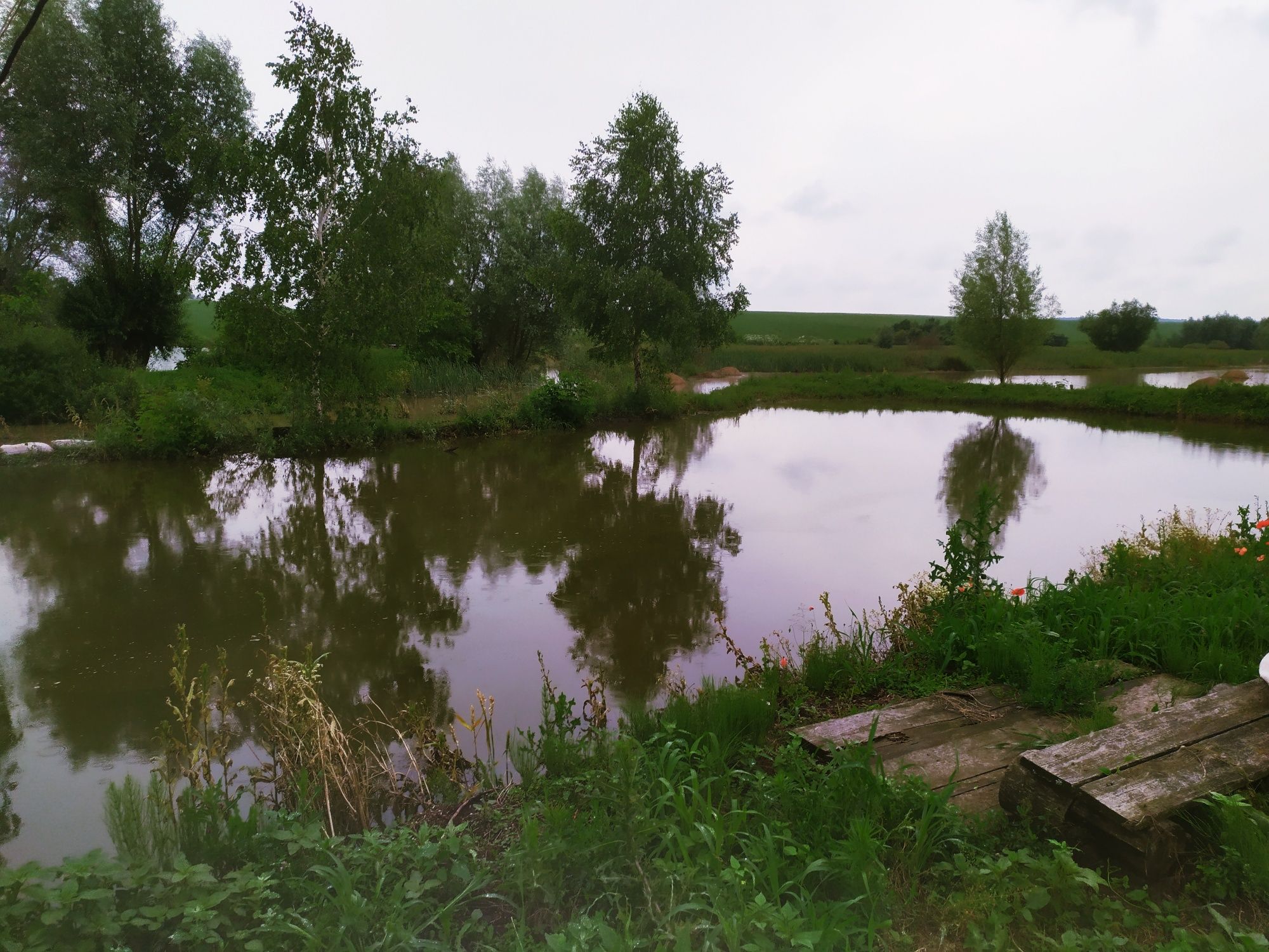 Земельна ділянка по вулиці Берестецька.