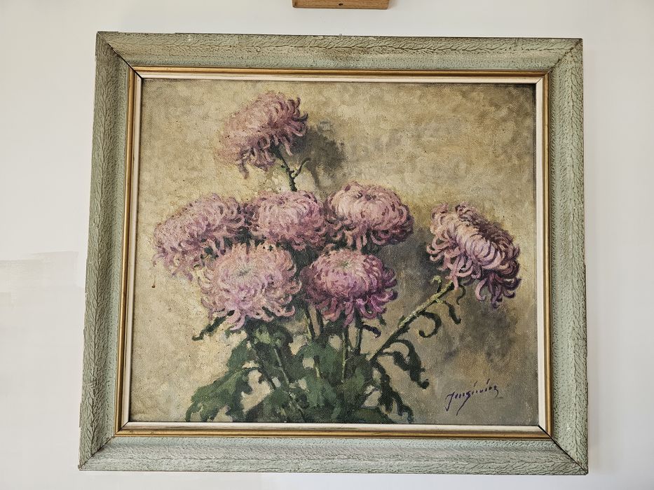 Chryzantemy Jarosiewicz