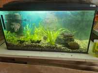 akwarium 100l pokrywa z światłem led