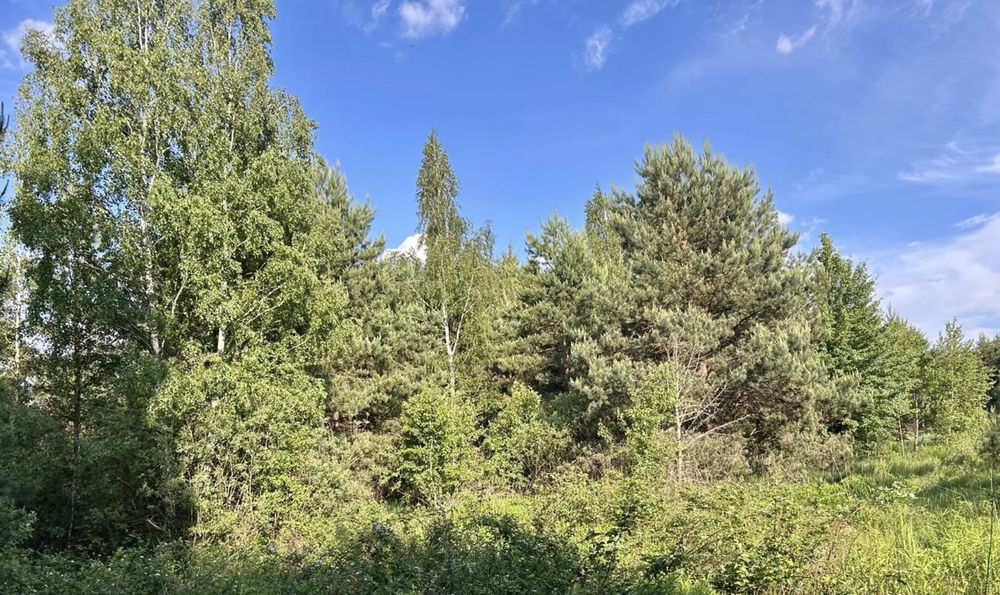 Земельна ділянка.Терміново!!! 7,5 га! Калинівка.